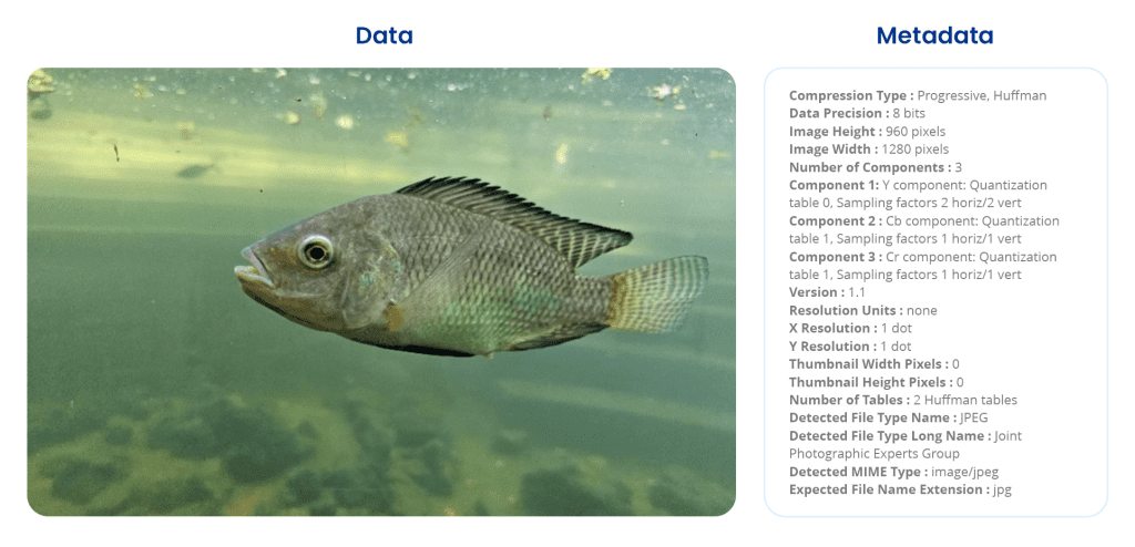 Metadata Management: Framework, Tools, Benefits & Use Cases